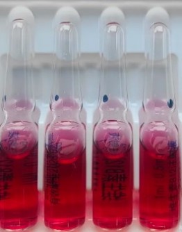 Vitamin B12-10ml
