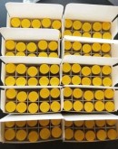 LYSINE-PROLINE-VALINE